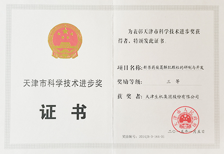 天津市科技進(jìn)步三等獎